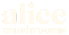 Alice Mushrooms